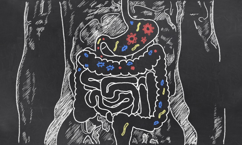 ¿Pensamos con el intestino? ¿Pensamos con el intestino?