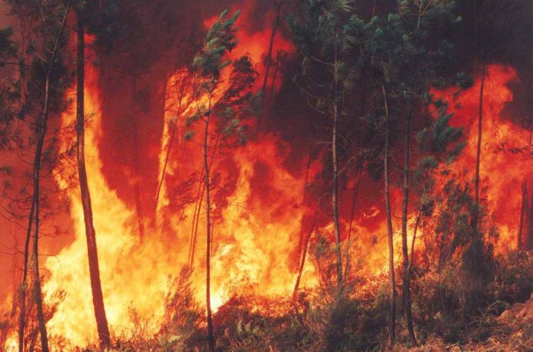 Todos contra el fuego 2.0 Todos contra el fuego 2.0