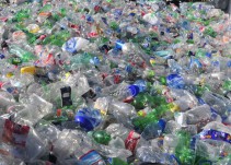 "El acuerdo sobre disruptores endocrinos llega mal y tarde"
