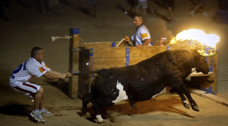 Imagen del toro embolao, festejo que se realiza en Amposta, Tarragona. Imagen del toro embolao, festejo que se realiza en Amposta, Tarragona.