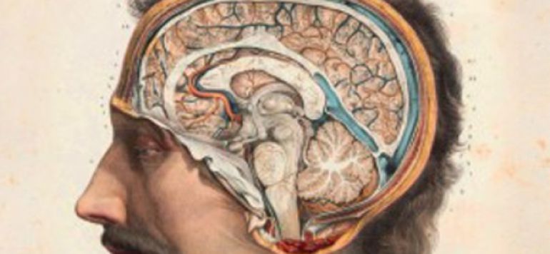 ¿Una mente prodigiosa? ¿Una mente prodigiosa?