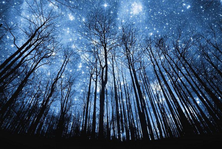 "Somos hijos de las estrellas" "Somos hijos de las estrellas"
