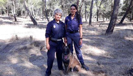 Ladridos que pueden salvar vidas