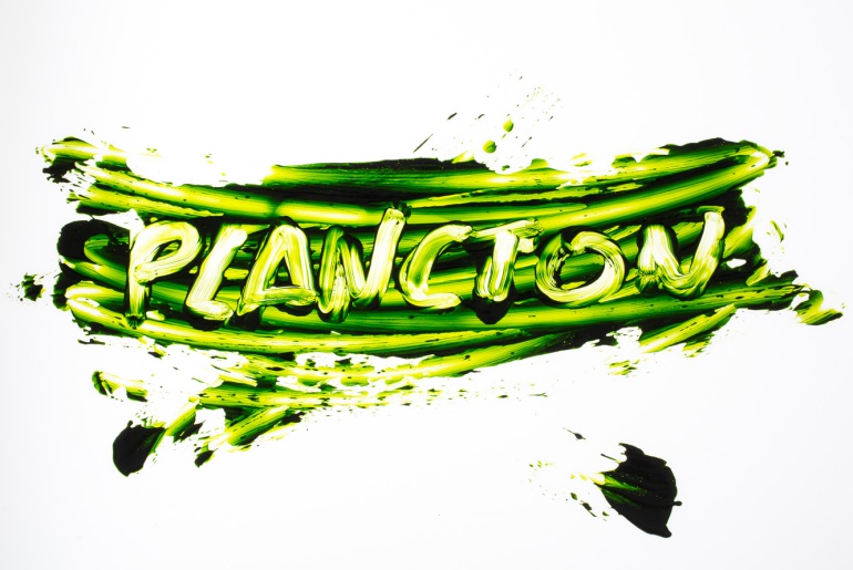 El plancton marino, un ingrediente gourmet El plancton marino, un ingrediente gourmet