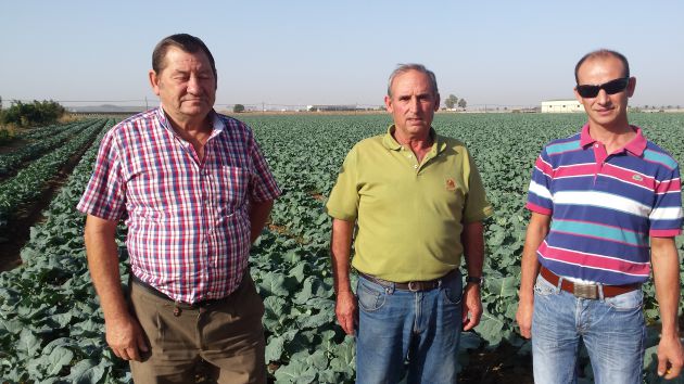 Agricultores de Balboa, pedanía de Badajoz, en un campo de regadío cultivado de brócoli. Luciano Fernández, Pablo Barrantes Maya y su hijo Pablo Barrantes Rodríguez Agricultores de Balboa, pedanía de Badajoz, en un campo de regadío cultivado de brócoli. Luciano Fernández, Pablo Barrantes Maya y su hijo Pablo Barrantes Rodríguez