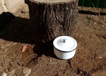 Comer de Tupper es una oportunidad única para conocer mejor tu ciudad