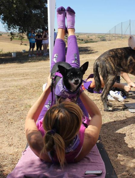 Doga, yoga y dog: "Con el 'doga' al animal le sonríe el alma" Doga, yoga y dog: "Con el 'doga' al animal le sonríe el alma"