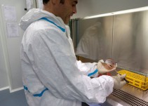 SOS para salvar la investigación en España