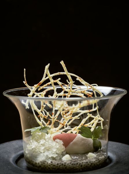 Sopa de chía, granizado de manzana y apio y sorbete de fresa. Sopa de chía, granizado de manzana y apio y sorbete de fresa.