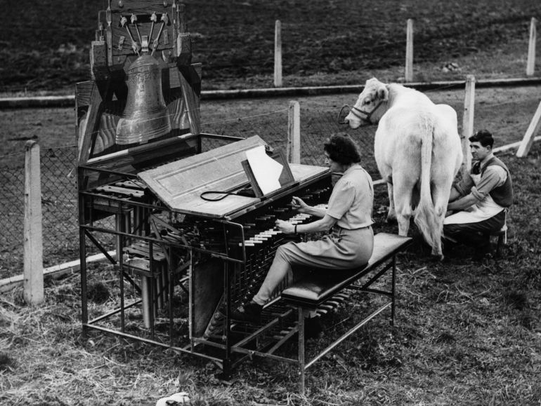 Nora Johnston toca un órgano portátil en Surray (Reino Unido, 1955) Nora Johnston toca un órgano portátil en Surray (Reino Unido, 1955)