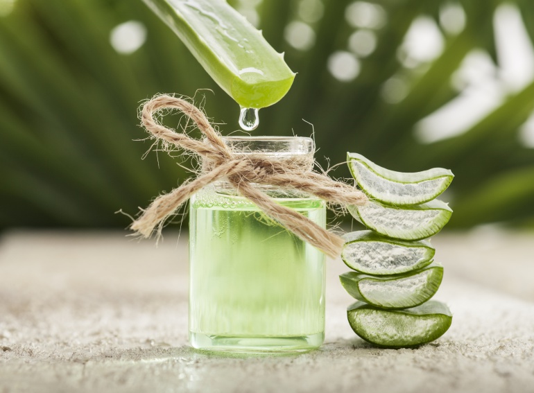 Lo último en conservas: el jugo de aloe vera Lo último en conservas: el jugo de aloe vera
