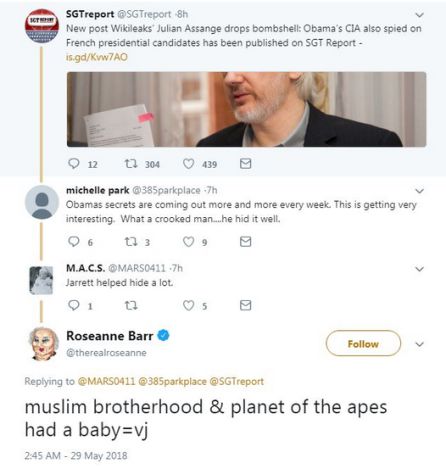 Imagen del tuit borrado de la actriz Roseanne Barr Imagen del tuit borrado de la actriz Roseanne Barr