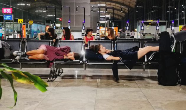 Cabezadita en el Aeropuerto de Alicante. Cabezadita en el Aeropuerto de Alicante.