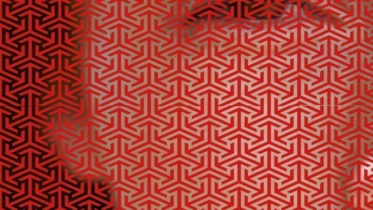 'La mujer del libro rojo'