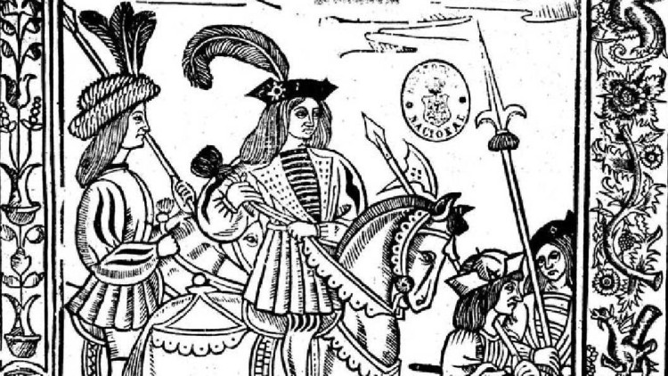 Los libros de caballerías castellanos