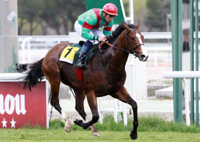 José Luis Martínez a lomos de 'Noozhoh Canarias', en el Hipódromo de La Zarzuela José Luis Martínez a lomos de 'Noozhoh Canarias', en el Hipódromo de La Zarzuela