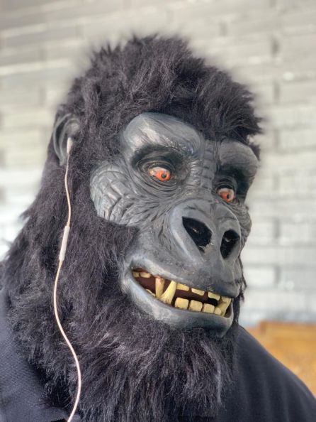 Gorak, escuchando Play Gastro. Gorak, escuchando Play Gastro.