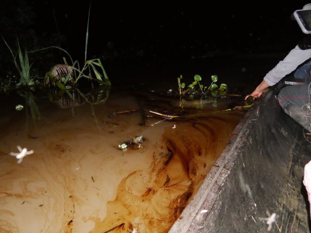 Contaminación en el río Amazonas Contaminación en el río Amazonas