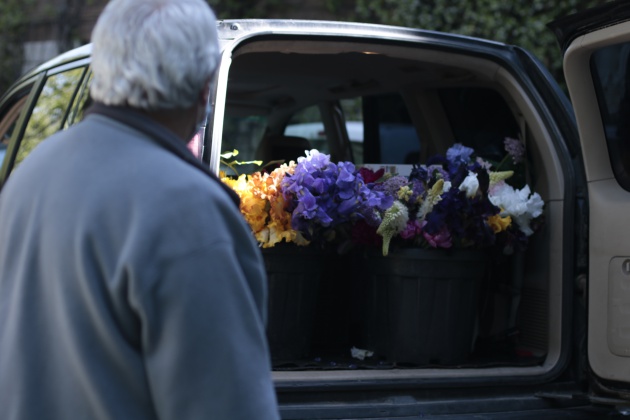 Están regalando flores a hospitales y residencias de mayores Están regalando flores a hospitales y residencias de mayores