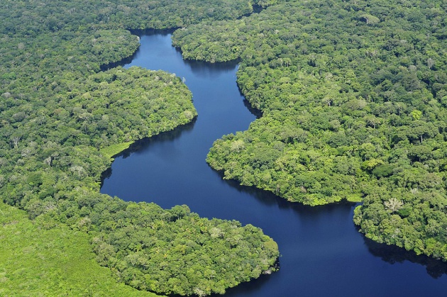 La Amazonia es la mayor región de bosque tropical del planeta. Desde 1970 se ha perdido solo en Brasil una superficie forestal más grande que toda Francia y la ganadería ha sido la responsable de la mayoría de esta deforestación, según datos de Greenpeace La Amazonia es la mayor región de bosque tropical del planeta. Desde 1970 se ha perdido solo en Brasil una superficie forestal más grande que toda Francia y la ganadería ha sido la responsable de la mayoría de esta deforestación, según datos de Greenpeace
