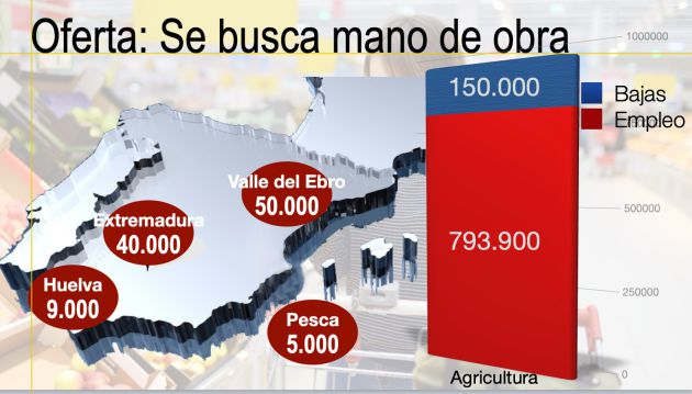 La agricultura busca mano de obra. La agricultura busca mano de obra.