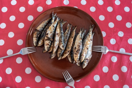 Más de la mitad de las anchoas tienen microplásticos Más de la mitad de las anchoas tienen microplásticos
