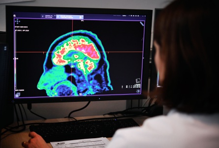'Brain' es el mayor proyecto del mundo para conocer la mente humana 'Brain' es el mayor proyecto del mundo para conocer la mente humana