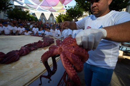 El pulpo gallego es de menor tamaño y tiene los tentáculos entrelazados El pulpo gallego es de menor tamaño y tiene los tentáculos entrelazados