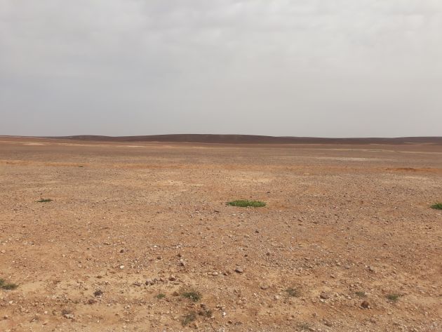 Azraq está levantado en una llanura volcánica, barrida por el viento la mayor parte del día Azraq está levantado en una llanura volcánica, barrida por el viento la mayor parte del día