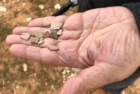 Millás sostiene restos cáscaras de huevos de dinosaurio Millás sostiene restos cáscaras de huevos de dinosaurio