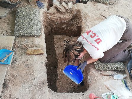 Trabajos de exhumación en la fosa de Almagro Trabajos de exhumación en la fosa de Almagro