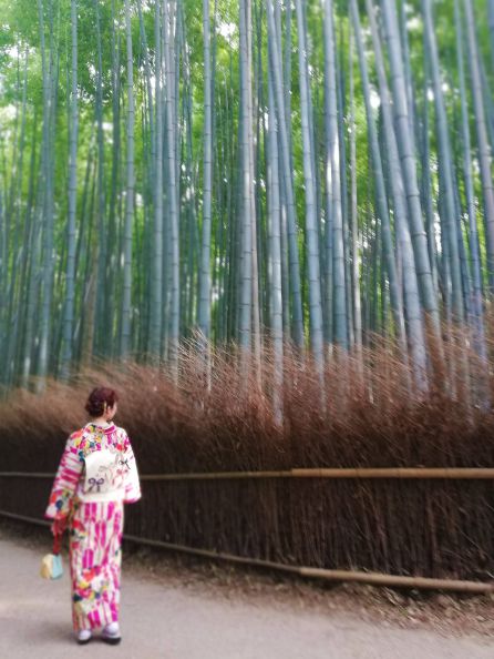 Bosque de bambú (Kyoto) Bosque de bambú (Kyoto)