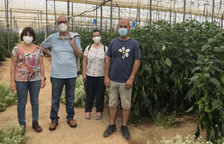 Ana Arévalo, Juan José Millás, Pilar Santorromán y Santi en su invernadero en Almería Ana Arévalo, Juan José Millás, Pilar Santorromán y Santi en su invernadero en Almería