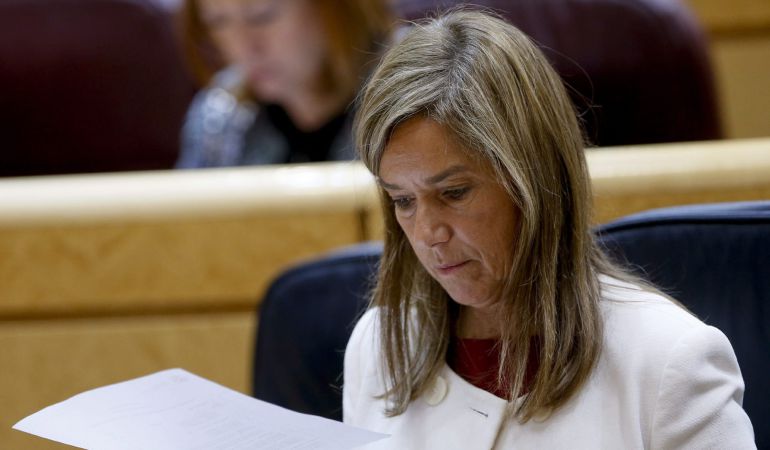 La exministra de Sanidad, Ana Mato, durante una sesión de control al Gobierno en el Senado La exministra de Sanidad, Ana Mato, durante una sesión de control al Gobierno en el Senado