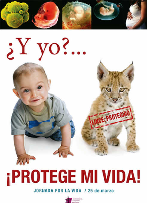 Cartel de la campaña "¡Protege mi vida¡" que lanza la Conferencia Episcopal contra el aborto Cartel de la campaña "¡Protege mi vida¡" que lanza la Conferencia Episcopal contra el aborto