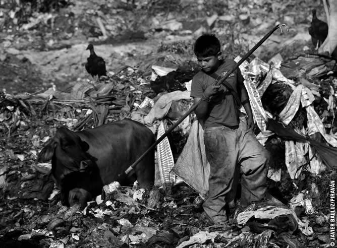 Entre las imágenes más impactantes está la del Premio Pulitzer, Javier Bauluz, que ha cedido la fotografía de un niño trabajando en el vertedero de Managua en Nicaragua Entre las imágenes más impactantes está la del Premio Pulitzer, Javier Bauluz, que ha cedido la fotografía de un niño trabajando en el vertedero de Managua en Nicaragua