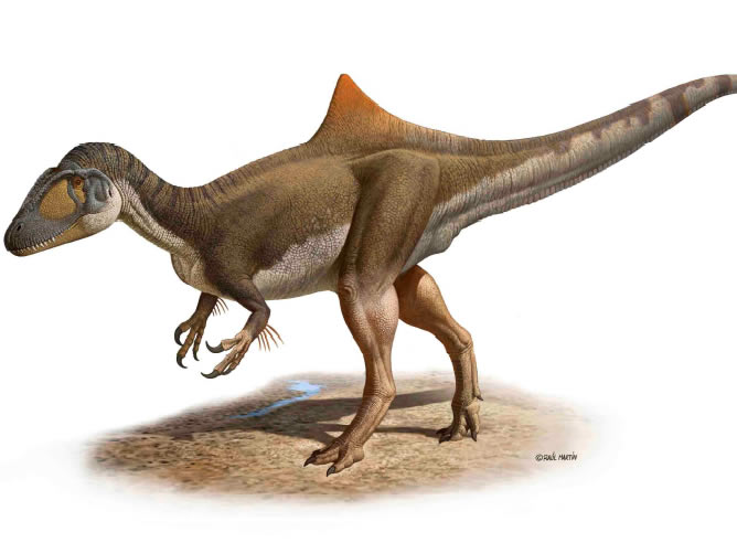 Se llama "Concavenator corcovatus", vivió hace unos 125 millones de años en la Península Ibérica, medía 6 metros y es el primer dinosaurio que se ha encontrado que tenía joroba Se llama "Concavenator corcovatus", vivió hace unos 125 millones de años en la Península Ibérica, medía 6 metros y es el primer dinosaurio que se ha encontrado que tenía joroba
