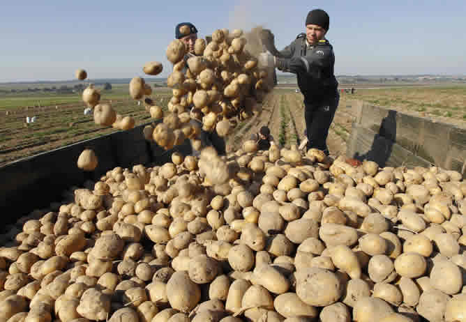 Baja por primera vez en 15 años el hambre en el mundo, pero hay 925 millones de hambrientos Baja por primera vez en 15 años el hambre en el mundo, pero hay 925 millones de hambrientos
