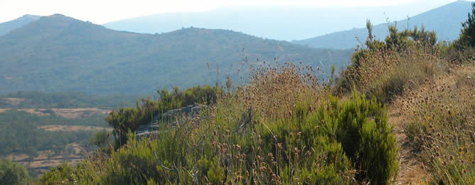 Paseo por las Eras en Hiruela Paseo por las Eras en Hiruela