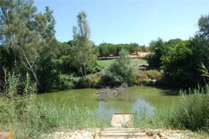 La Ribera del Guadaíra, declarada Monumento Natural La Ribera del Guadaíra, declarada Monumento Natural