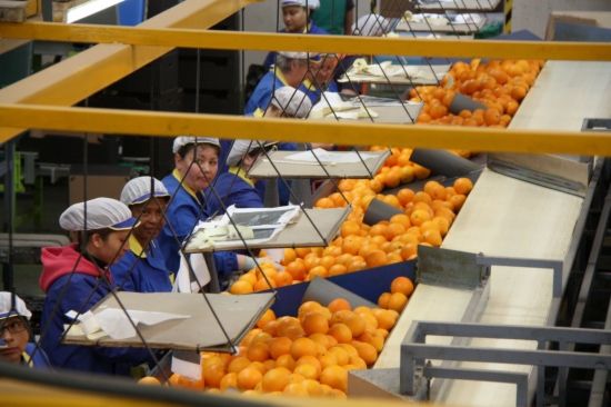 El Consejo de Garantías Estatutarias determina que la reforma laboral vulnera la Constitución El Consejo de Garantías Estatutarias determina que la reforma laboral vulnera la Constitución