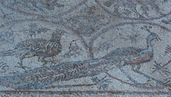 FOTOGALERIA: Gaza, arqueología entre el mar y las bombas FOTOGALERIA: Gaza, arqueología entre el mar y las bombas