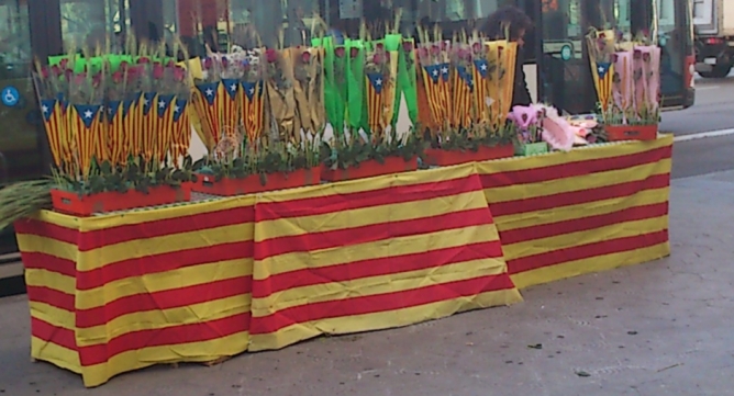Roses amb l'estelada a una parada de la Plaça Catalunya de Barcelona Roses amb l'estelada a una parada de la Plaça Catalunya de Barcelona