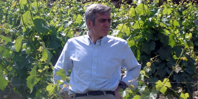 El Secretari General del Consell Regulador de Rias Baixas, Ramón Huidobro El Secretari General del Consell Regulador de Rias Baixas, Ramón Huidobro