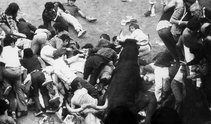 Un tapón formado en los Sanfermines de 1977 en el que murió un joven de 17 años. Un tapón formado en los Sanfermines de 1977 en el que murió un joven de 17 años.