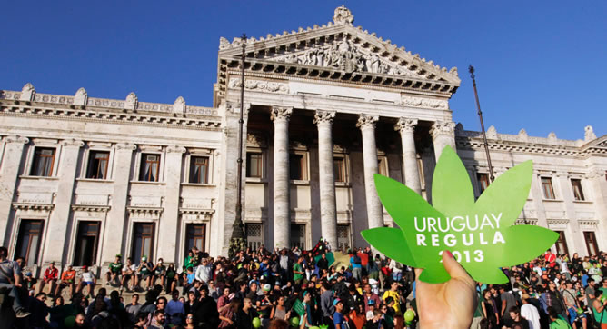 Manifestación frente al Congreso uruguayo en Montevideo para reivindicar la legalización de la marihuana. Manifestación frente al Congreso uruguayo en Montevideo para reivindicar la legalización de la marihuana.
