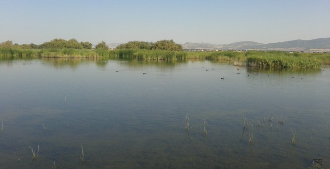 Imágen panorámica de las Tablas de Daimiel Imágen panorámica de las Tablas de Daimiel