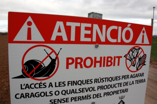 Los carteles que prohiben coger caracoles que se han colocado en Castellnou de Seana (Lleida) Los carteles que prohiben coger caracoles que se han colocado en Castellnou de Seana (Lleida)