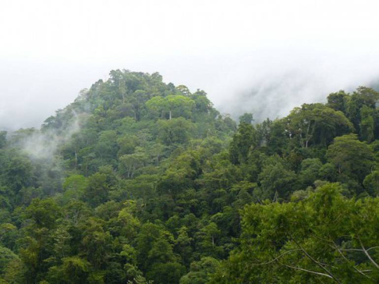 Lugares que no te deberías perder si viajas a Costa Rica Lugares que no te deberías perder si viajas a Costa Rica