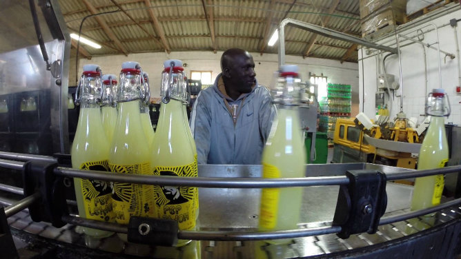 Pep Lemon, la primera limonada hecha 100% en Mallorca Pep Lemon, la primera limonada hecha 100% en Mallorca